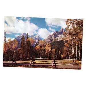 Union Pacific Railroad Grand Teton Wyoming Vintage Pictorial Postcard Scenic